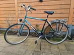 Giant Auckland herenfiets, stadsfiets, 53 tot 57 cm, Ophalen, Gebruikt, Giant