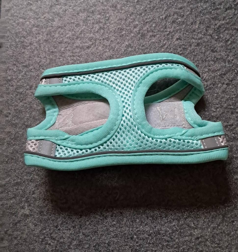 Katten harnasje., Ophalen of Verzenden