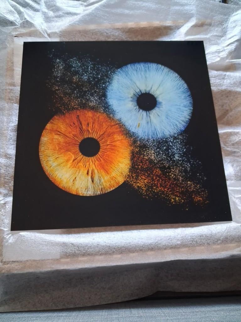 Iris Kunstwerk 40x40 – Luxe Acryl Wanddecoratie Iris Galerie, Ophalen, 40 cm, Meerkleurig, Nieuw