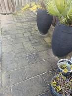 tuin tegels gratis af te halen, Ophalen of Verzenden, Gebruikt, Beton, Terrastegels