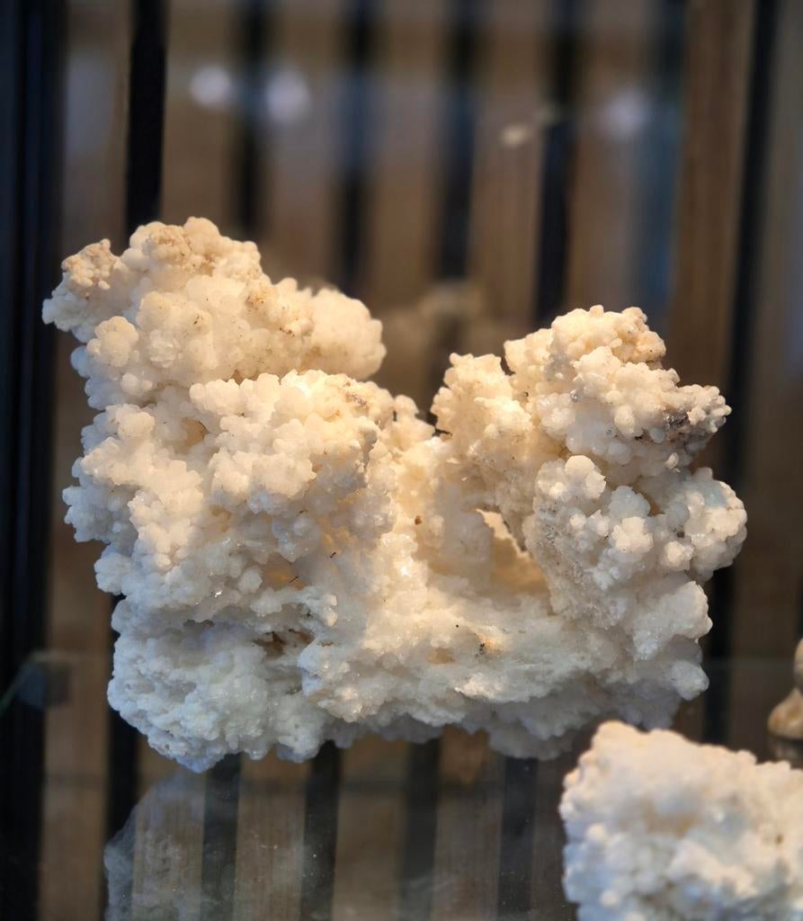 Aragoniet calciet koraal, Verzamelen, Ophalen of Verzenden