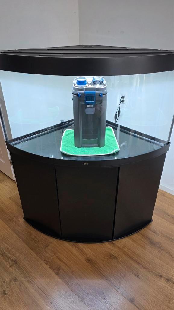 Juwel Trigon 350, Dieren en Toebehoren, Vissen | Aquaria en Toebehoren, Zo goed als nieuw, Filter of Co2, Ophalen