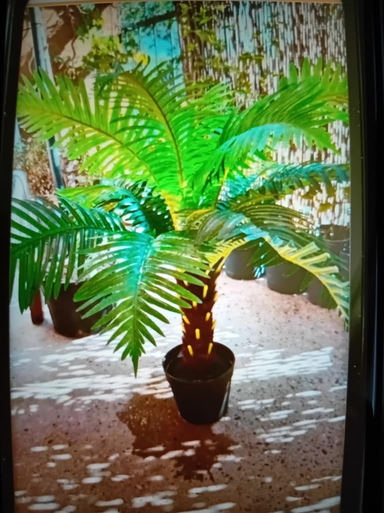 Kunst palmboom., Tuin en Terras, Tuinwanddecoratie, Ophalen