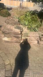 Gratis bielzen, Ophalen