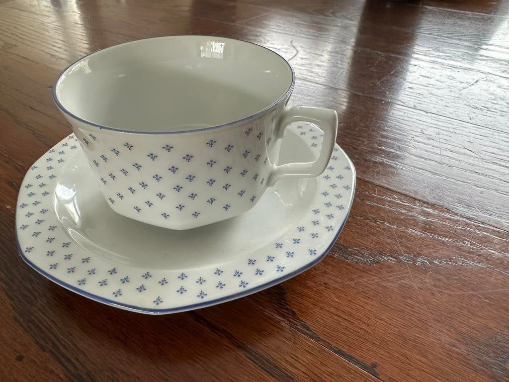 Seltmann Weiden Bavaria Aurelia theekop met schotel, Ophalen of Verzenden, Zo goed als nieuw, Porselein, Kop en/of schotel