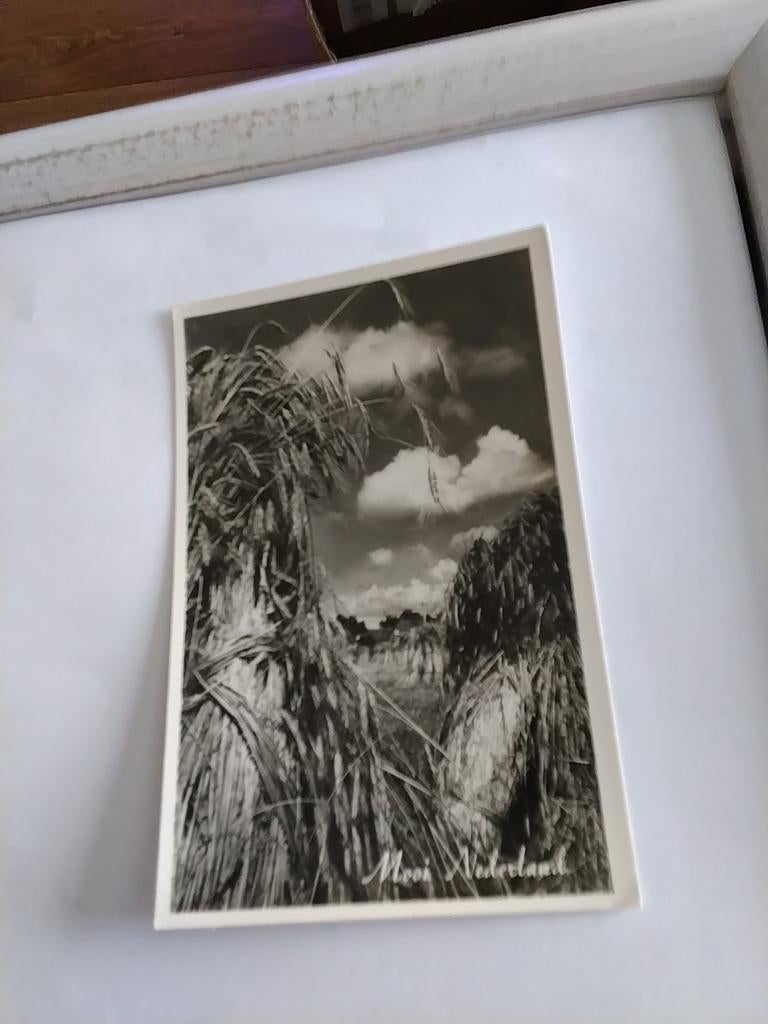MOOI NEDERLAND, Ophalen of Verzenden, Voor 1920, Gelderland