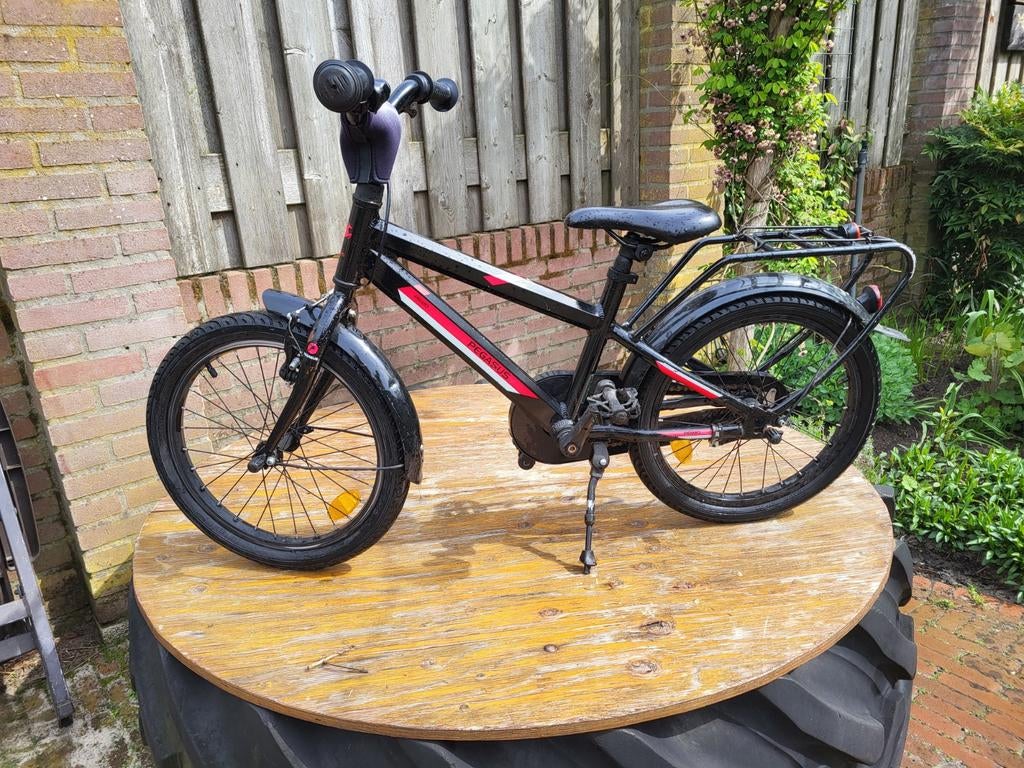 Kinderfiets gebruikt maar kan prima een tweede ronde mee, Ophalen of Verzenden, Gebruikt, 16 tot 20 inch, Pegasus