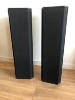 Driade 15/STR compacte vloerstaande luidsprekers., Ophalen, 120 watt of meer, Front, Rear of Stereo speakers, Overige merken