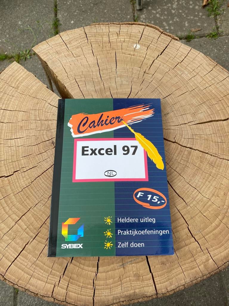 Cahier Excel 97, Boeken, Ophalen of Verzenden, Zo goed als nieuw, Overige onderwerpen