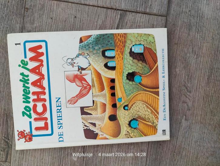 Zo Werkt Je Lichaam, Boeken, Kinderboeken | Jeugd | onder 10 jaar, Gelezen, Non-fictie, Ophalen of Verzenden