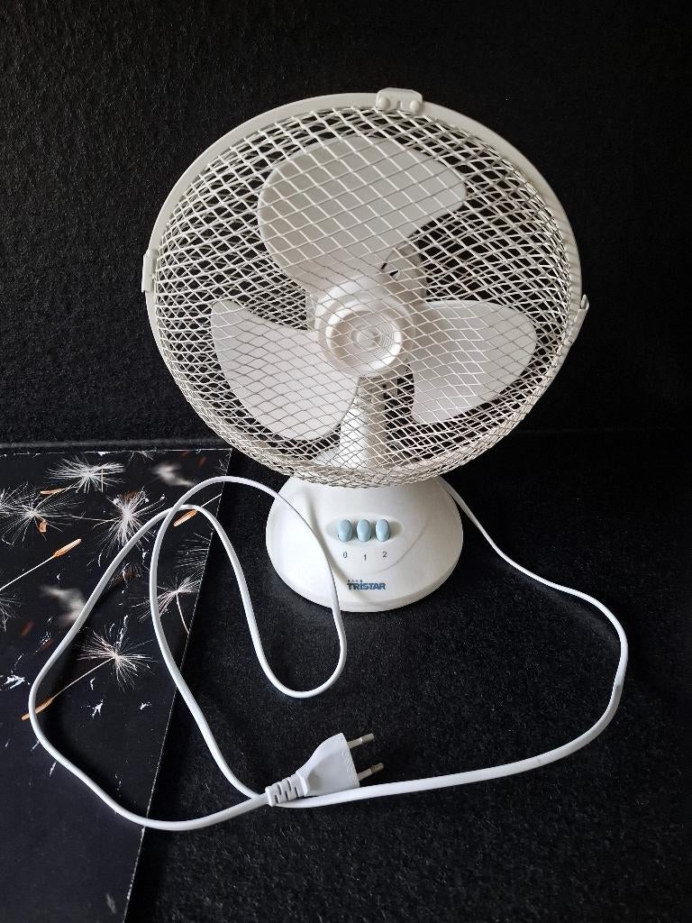 Tafel ventilator, Witgoed en Apparatuur, Ophalen of Verzenden, Gebruikt, Tafelventilator