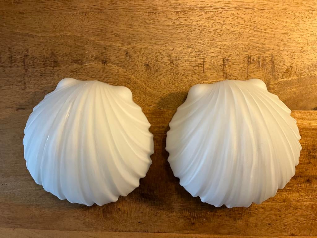Set van 2 Glashutte Limburg schelplampen. Schelp lamp, Huis en Inrichting, Lampen | Wandlampen, Ophalen of Verzenden, Zo goed als nieuw