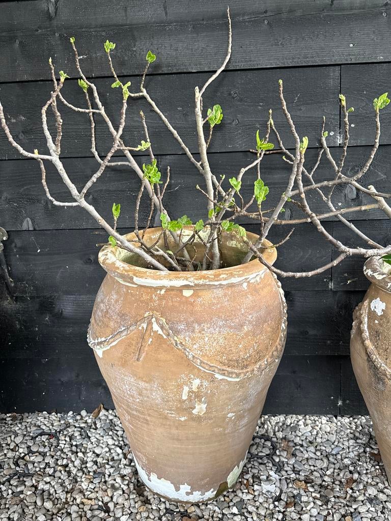 Grote terracotta potten -per stuk bieden, Tuin en Terras, Bloempotten, Ophalen, Gebruikt, Balkon, 40 cm of meer