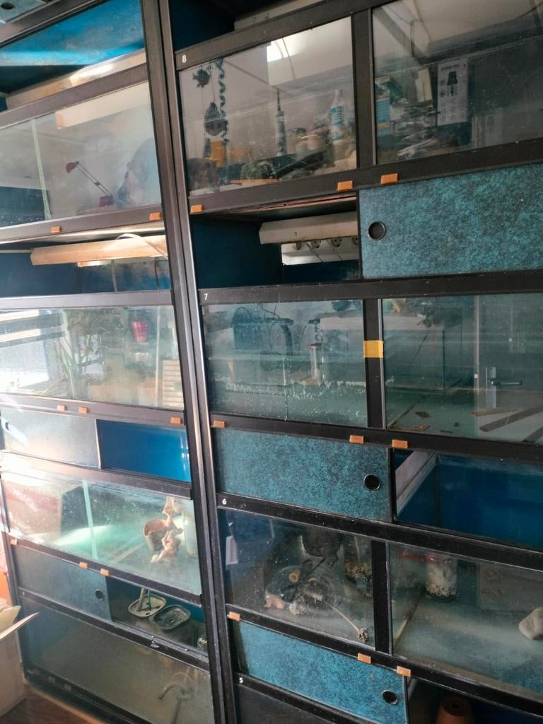 Aquarium stelling, Dieren en Toebehoren, Ophalen
