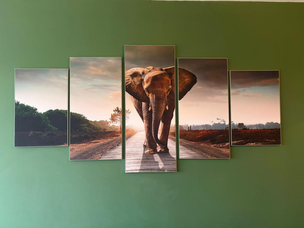 5 delig schilderij, Antiek en Kunst, Ophalen