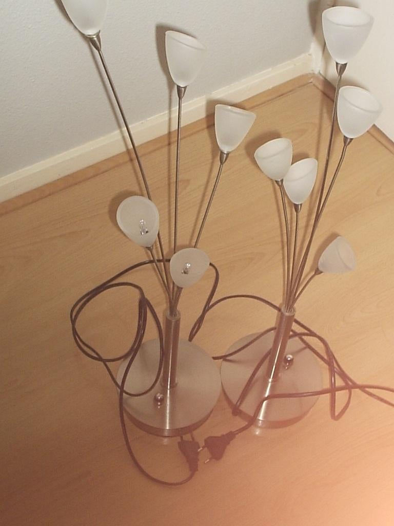 2 tafel lampen van rvs, Huis en Inrichting, Lampen | Tafellampen, Ophalen, 50 tot 75 cm, Zo goed als nieuw, Glas
