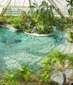 Centerparcs eemhof zwemmen bandjes 5 stuks voor 16-03-2026, Drie personen of meer, Ticket of Toegangskaart