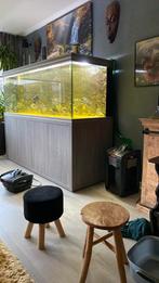 Aquarium compleet, Dieren en Toebehoren, Ophalen of Verzenden, Zo goed als nieuw, Leeg aquarium