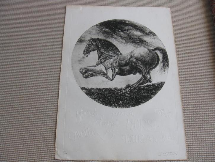 Willem Snitker. Ets 45/150. Op karton met reliëf. Gesigneerd, Antiek en Kunst, Kunst | Etsen en Gravures, Ets, Gesigneerd, Ophalen of Verzenden