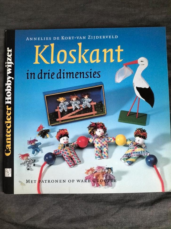 Cantecleer Hobbywijzer - Kloskant in drie dimensies, Hobby en Vrije tijd, Kantklossen, Zo goed als nieuw, Boek of Tijdschrift