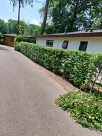 Prachtig chalet op toplocatie op de Veluwe luxe,