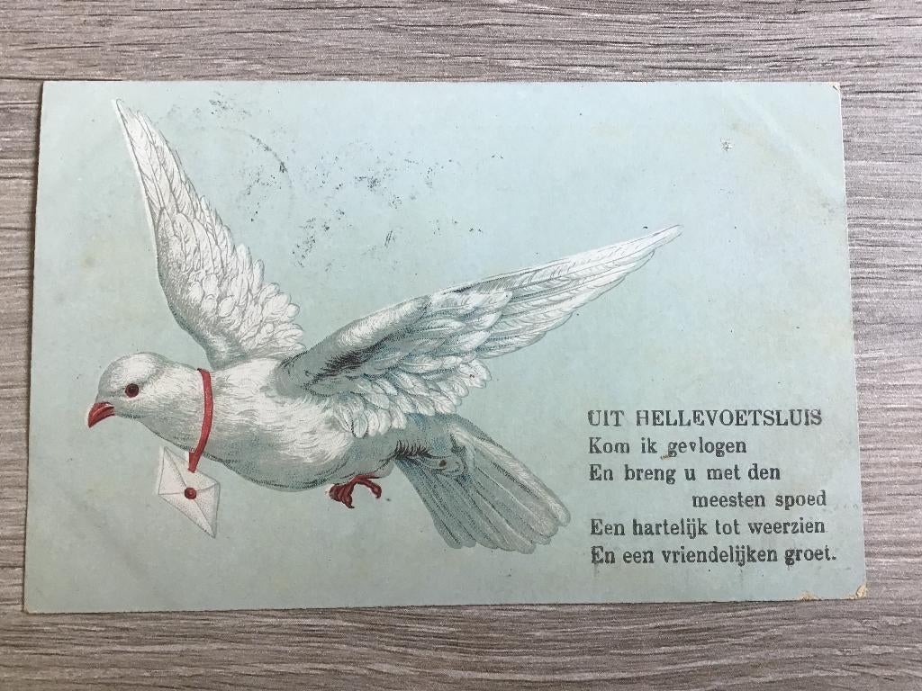 Hellevoetsluis Duif een vriendelijke.groet 1905, Verzenden, Voor 1920, Gelopen, Zuid-Holland