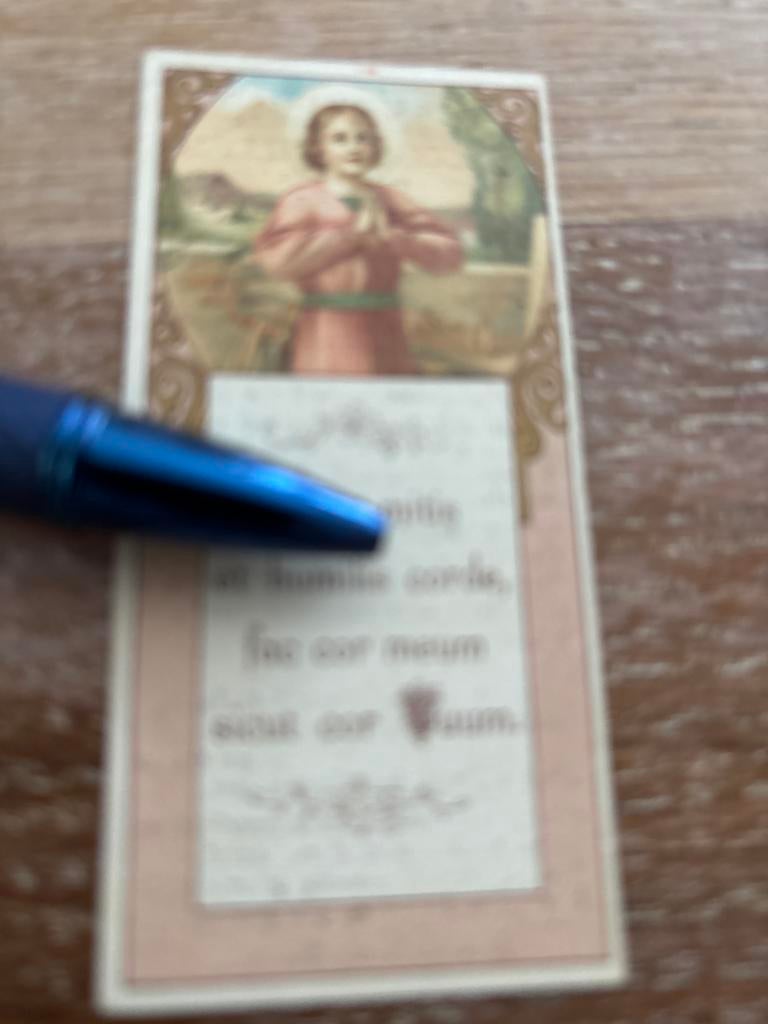 Briefjes Jacobus 1913 Bergen  1914  zv Briefjes en Kunst, Verzamelen, Bidprentjes en Rouwkaarten, Ophalen of Verzenden, Bidprentje