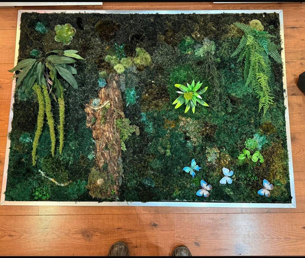 Mos Schilderijen & Groene Muren - Diverse Structuren, Ophalen, Nieuw