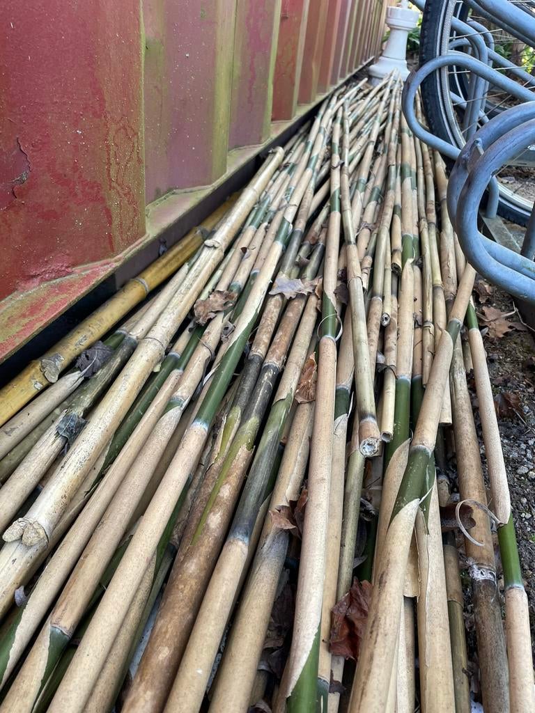 Bamboe stokken, Ophalen of Verzenden, 1980 tot heden, Zo goed als nieuw