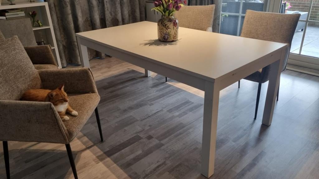 Eettafel, tafel 100x180, Ophalen, Rechthoekig, 150 tot 200 cm, 50 tot 100 cm