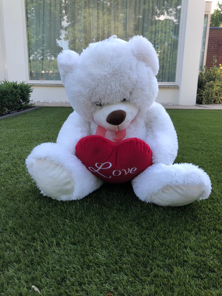 DIVERSEN PLUCHE KNUFFELS, Kinderen en Baby's, Speelgoed | Knuffels en Pluche, Ophalen of Verzenden, Nieuw, Overige typen