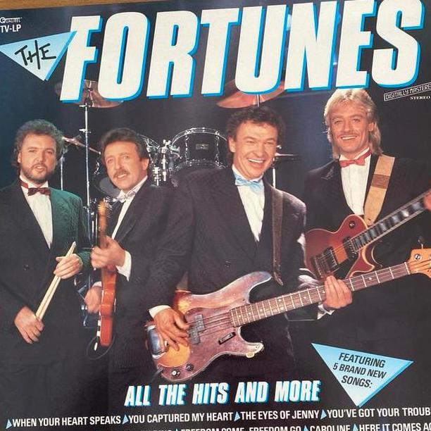 The Fortunes - All The Hits And More LP, Cd's en Dvd's, Vinyl | Pop, Verzenden, 1980 - 1989, Zo goed als nieuw, 12 inch