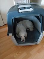 vari kennel hond, Dieren en Toebehoren, Ophalen, Zo goed als nieuw