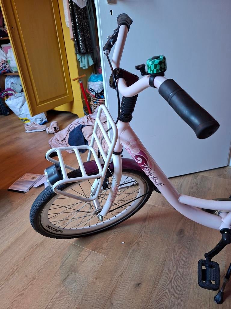 Alpina Meidenfiets 22 inch, Fietsen en Brommers, Fietsen | Meisjes, Ophalen of Verzenden, 22 inch, Alpina