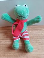 Max velthuijs kikker ongeveer 21 cm lang, Ophalen of Verzenden, Kikker