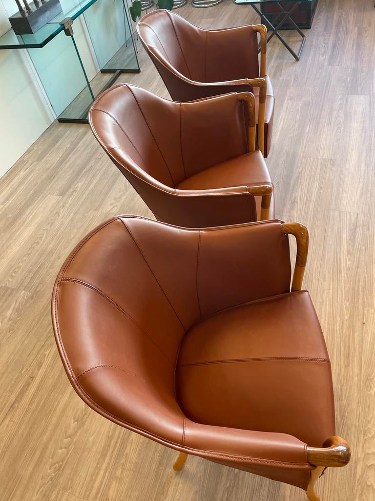 Giorgetti Progetti fauteuils  Pau Ferro hout armleuning 6 st, Ophalen, Zo goed als nieuw, Hout, Drie