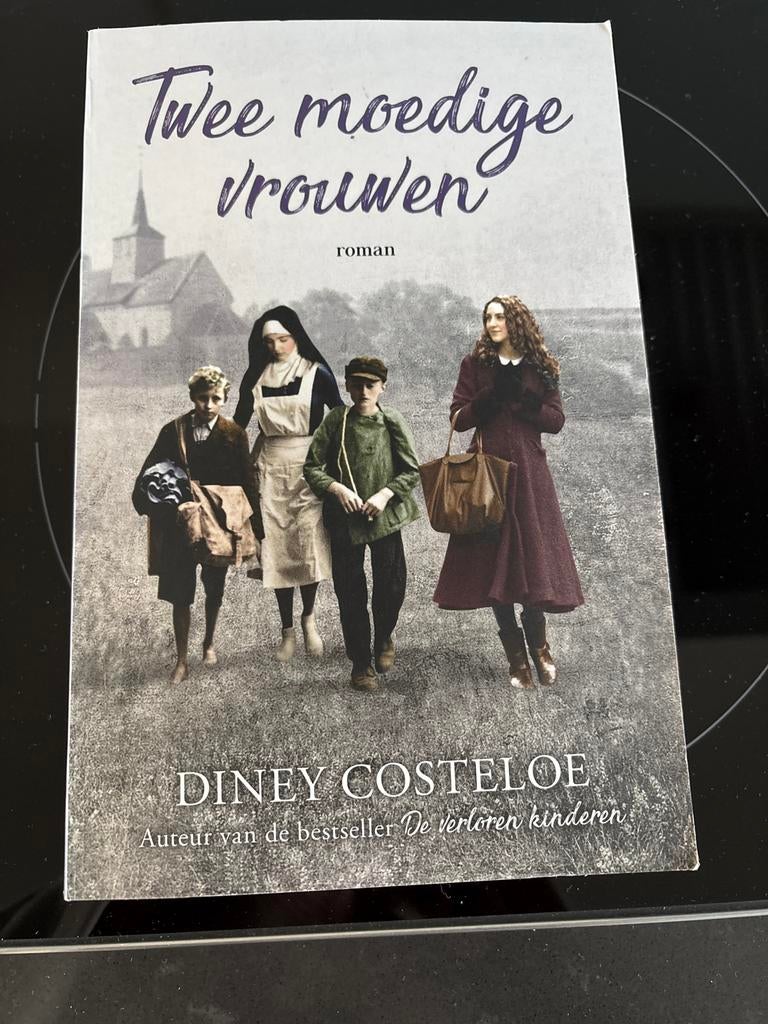 Twee moedige vrouwen - Diney Costeloe - Prachtige roman, Ophalen of Verzenden, Zo goed als nieuw, Nederland
