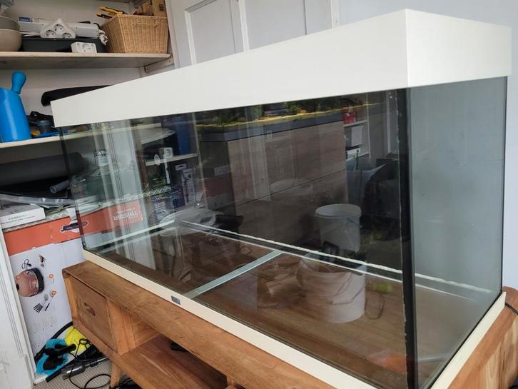 Juwel Rio 240 kweekbak, Dieren en Toebehoren, Vissen | Aquaria en Toebehoren, Gebruikt, Leeg aquarium, Ophalen of Verzenden