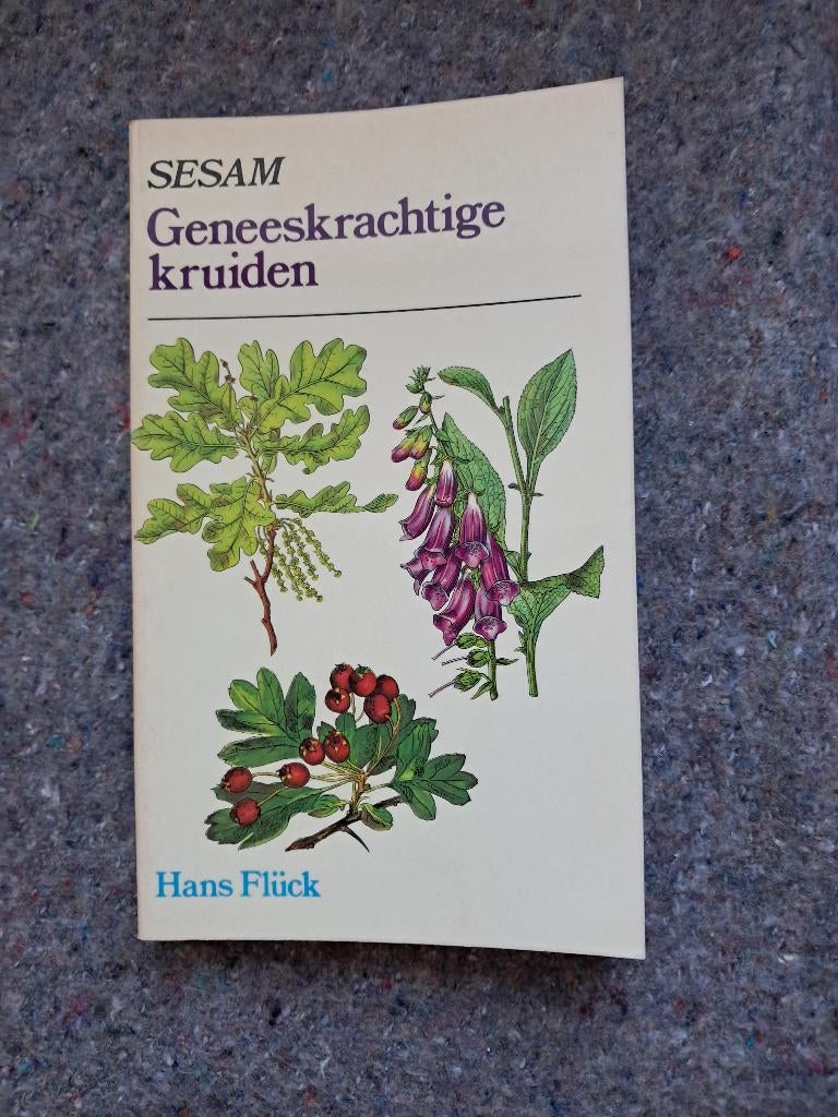 Geneeskrachtige kruiden, Gelezen, Dr Hans Flueck, Sociale wetenschap, Ophalen of Verzenden