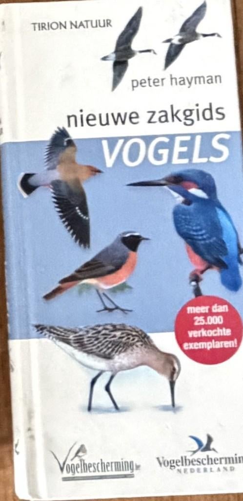 Peter Hayman Nieuwe zakgids Vogels, Verzenden, Zo goed als nieuw, Vogels