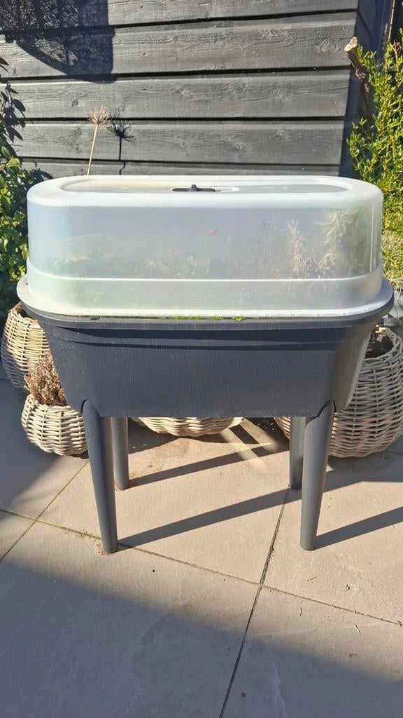 Kweekbak, moestuin op poten, met deksel zgan, Ophalen, Kweekbak