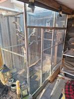 Voliere + vogels, Ophalen