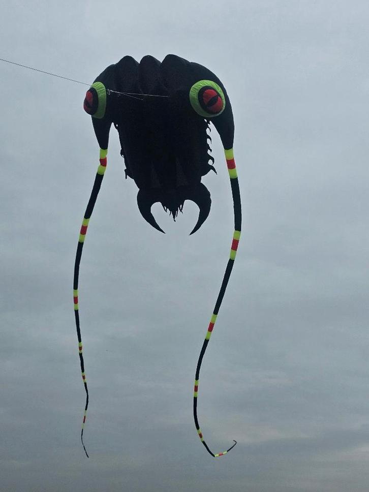 verschillende vliegers, Sport en Fitness, Vliegeren, Zo goed als nieuw, Vlieger, Eenlijns, Ophalen of Verzenden