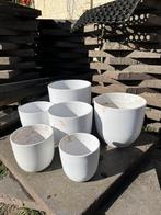 Witte bloempotten voor binnen, Ophalen, Rond, Binnen, Zo goed als nieuw