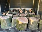 Stamdelen 30cm BERK 2-3m3 - Amersfoort - zelf kloven, Tuin en Terras, Haardhout, Minder dan 3 m³, Ophalen of Verzenden