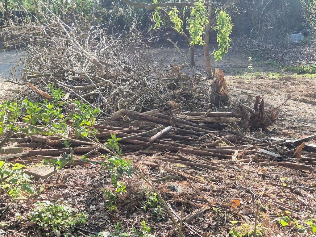 Snoeihout voor brandhout, Ophalen of Verzenden