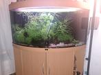 Juwel hoek aquarium  350 liter, Dieren en Toebehoren, Vissen | Aquaria en Toebehoren, Ophalen, Gebruikt, Verlichting of Verwarming