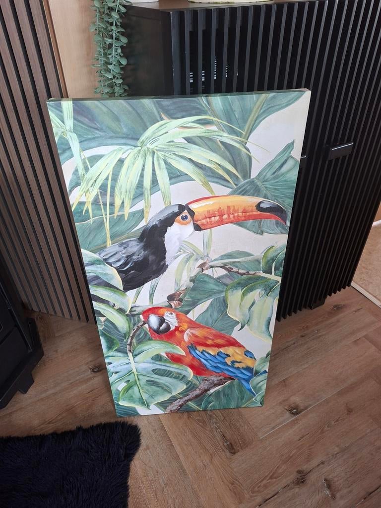 Canvas schilderij, Toekan en Ara., Ophalen, 75 cm of meer, 50 tot 75 cm, Print