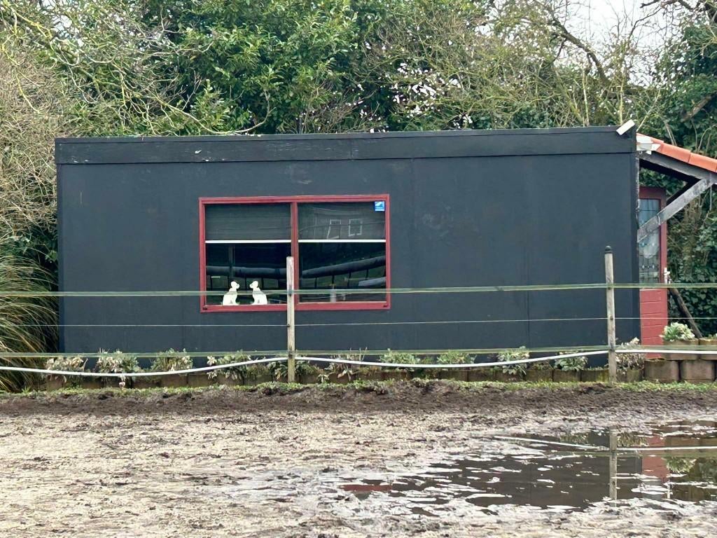 paarden boxsen en kantine, Meerdere dieren, 3 tot 6 jaar