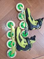 Skeelers, Dieren en Toebehoren, Slang, 0 tot 2 jaar